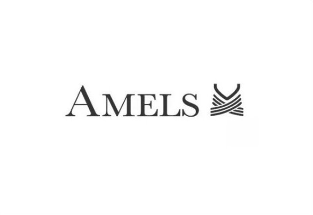 AMELS